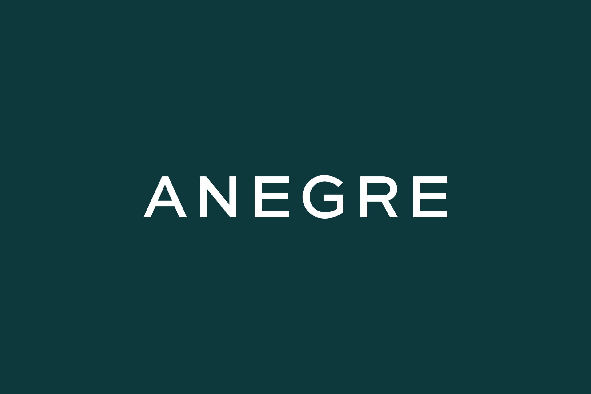 ANEGRE-Dmowski-Co-02-projektowanie-identyfikacji-wizualnej-logo