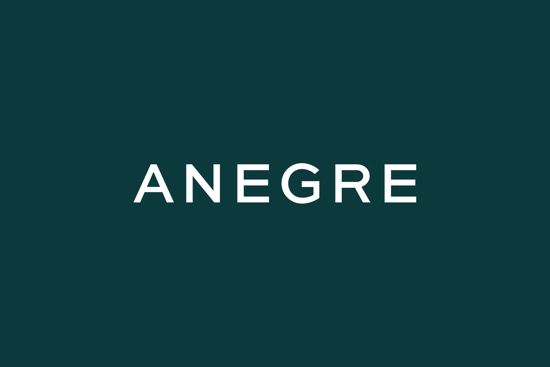 ANEGRE-Dmowski-Co-02-projektowanie-identyfikacji-wizualnej-logo