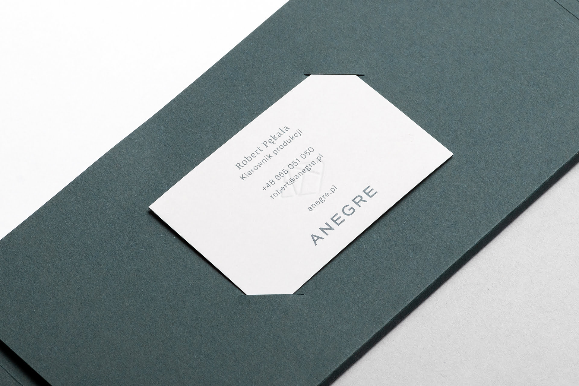 ANEGRE-Dmowski-Co-03-rebranding