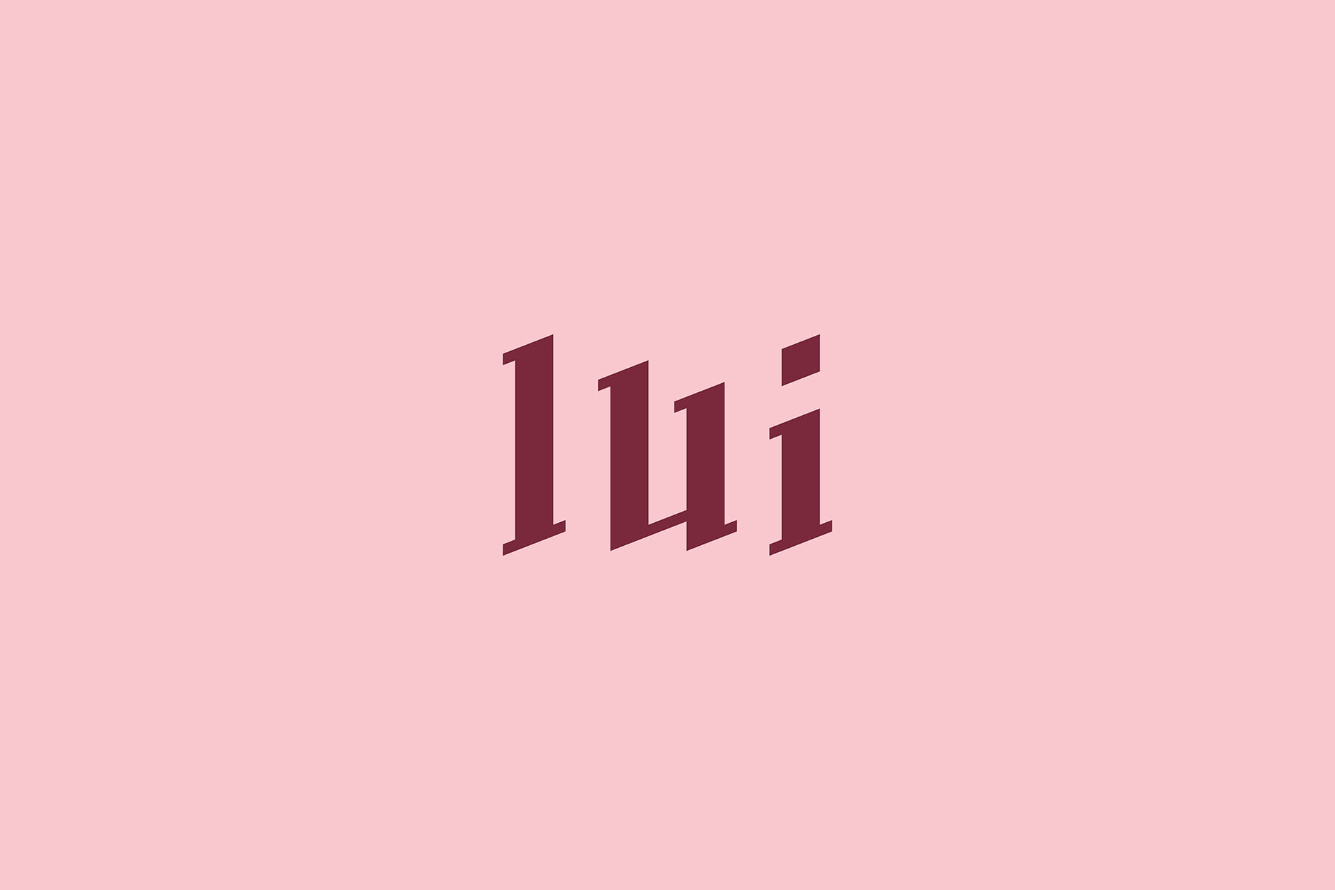 LUI-STORE-Dmowski-Co-02-identyfikacja-wizualna-marki