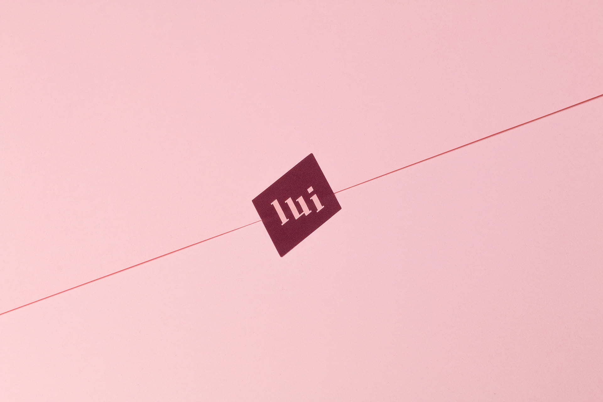 LUI-STORE-Dmowski-Co-05-identyfikacja-wizualna-marki