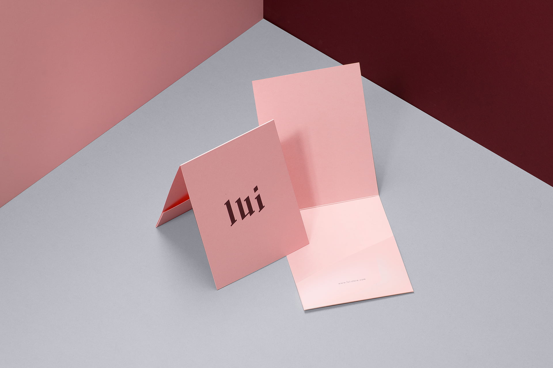 LUI-STORE-Dmowski-Co-07-identyfikacja-wizualna-marki