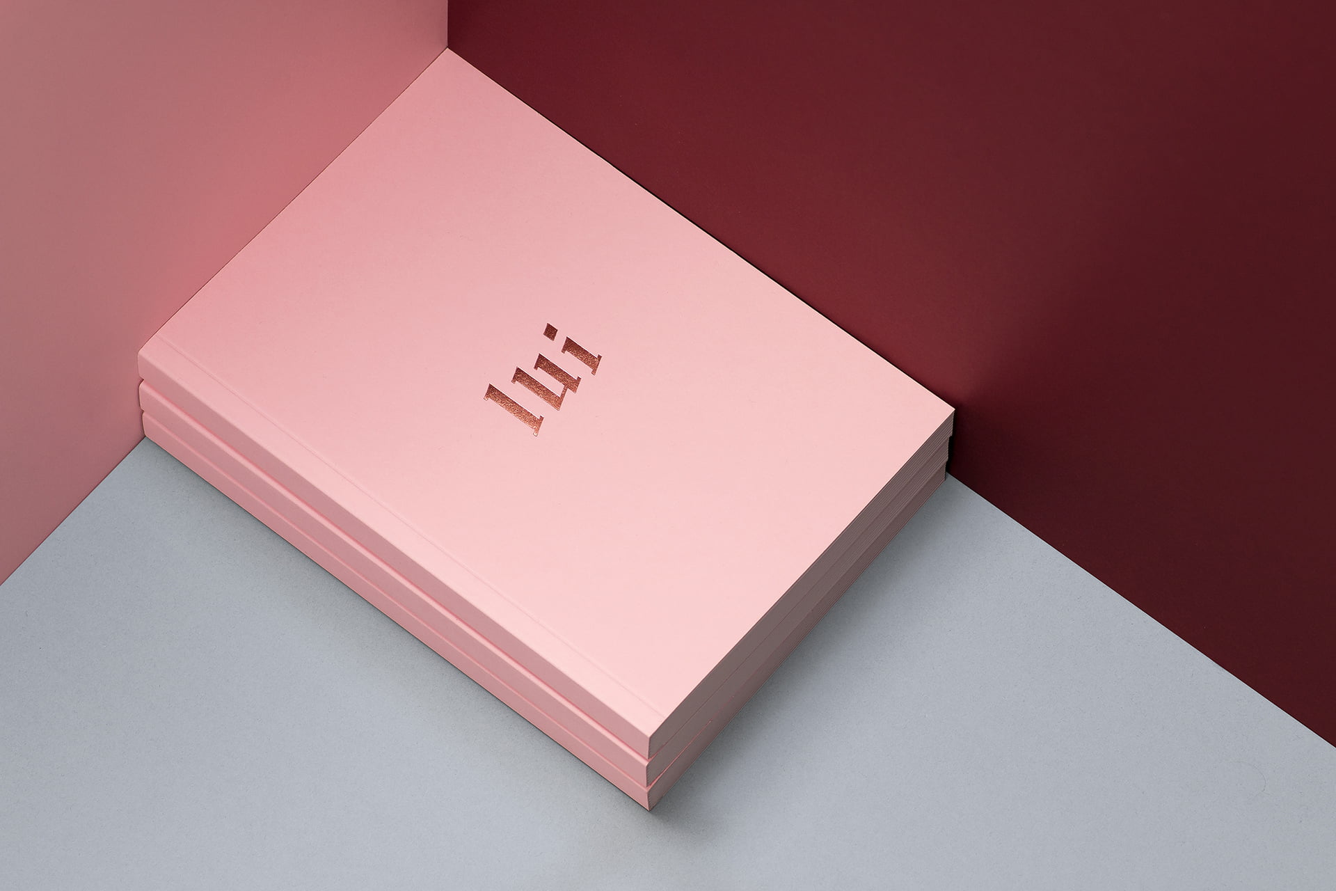 LUI-STORE-Dmowski-Co-09-identyfikacja-wizualna-marki
