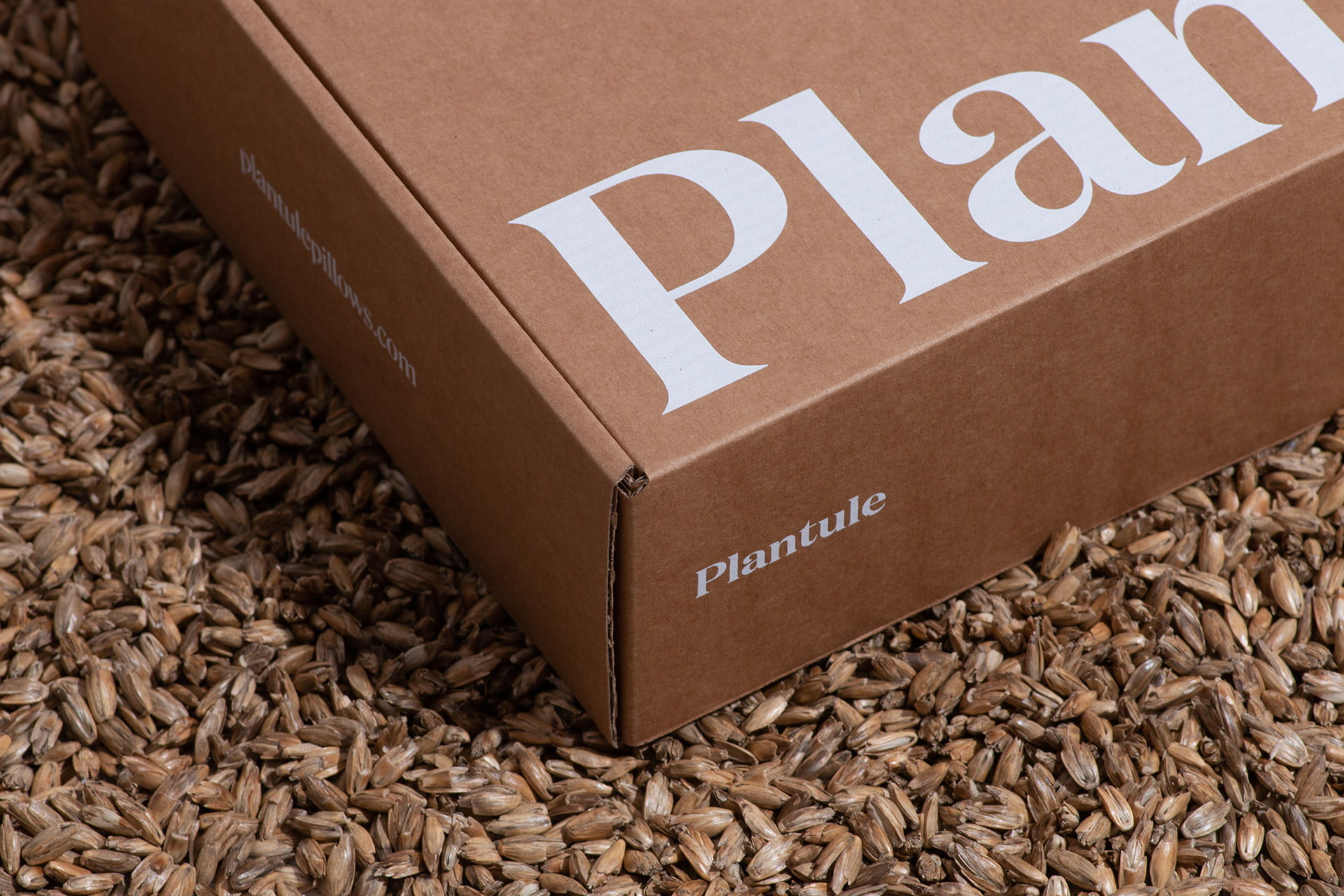 PLANTULE-Dmowski-Co-11-identyfikacja-wizualna