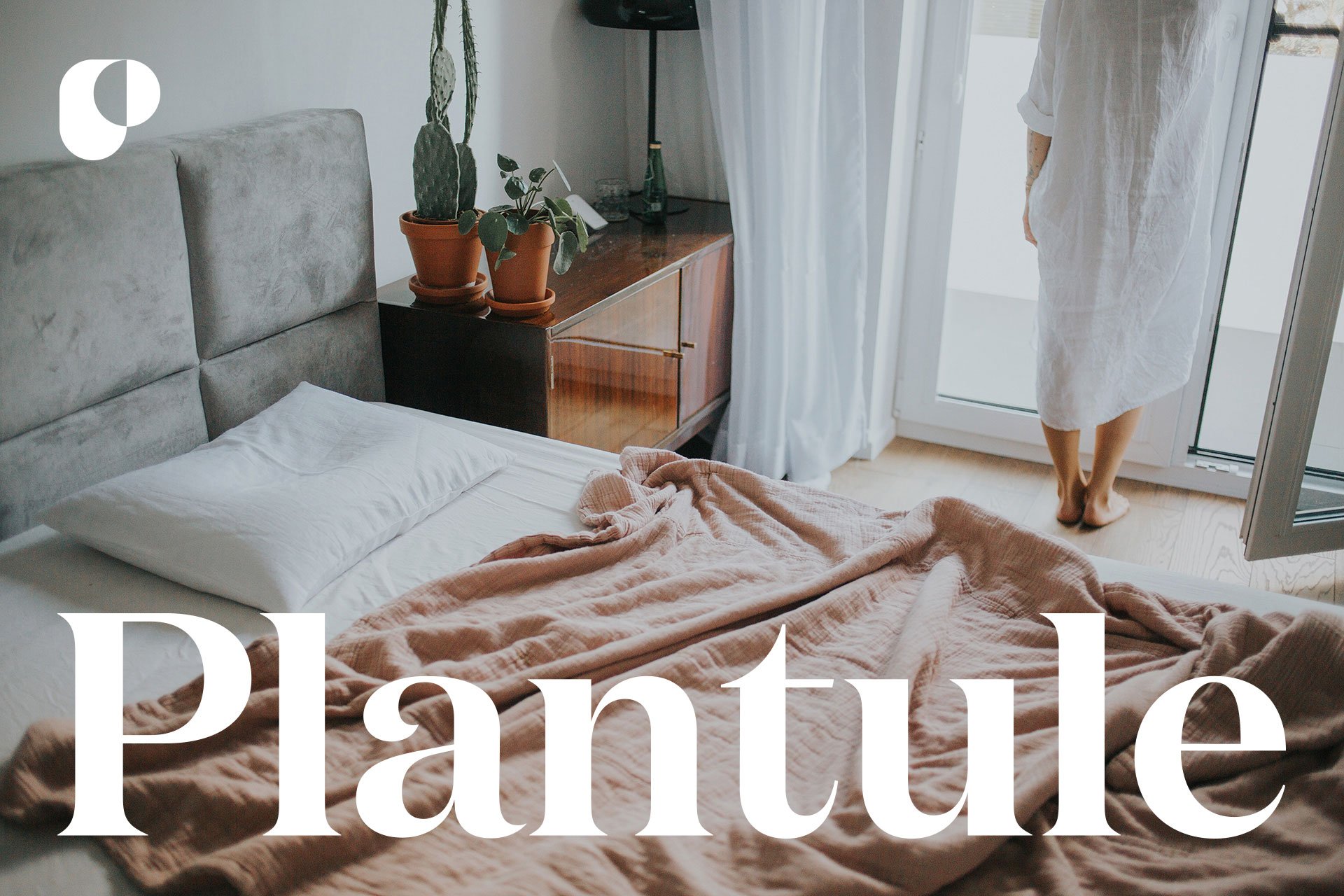 PLANTULE-Dmowski-Co-15-identyfikacja-wizualna