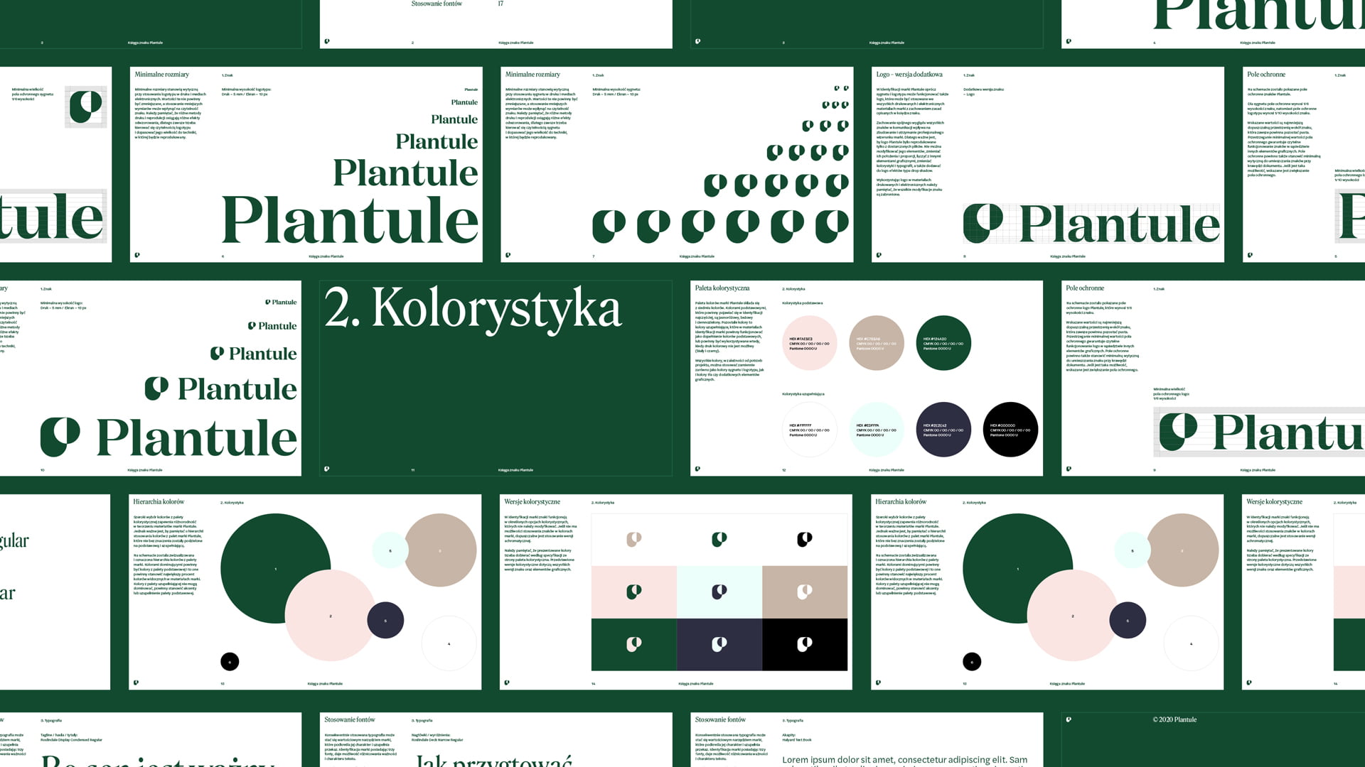 PLANTULE-Dmowski-Co-27-brandbook-rebranding