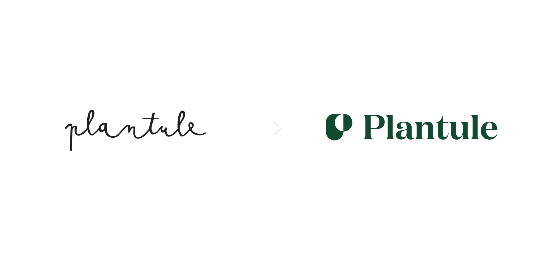 PLANTULE-Dmowski-Co-28-before-after-rebranding