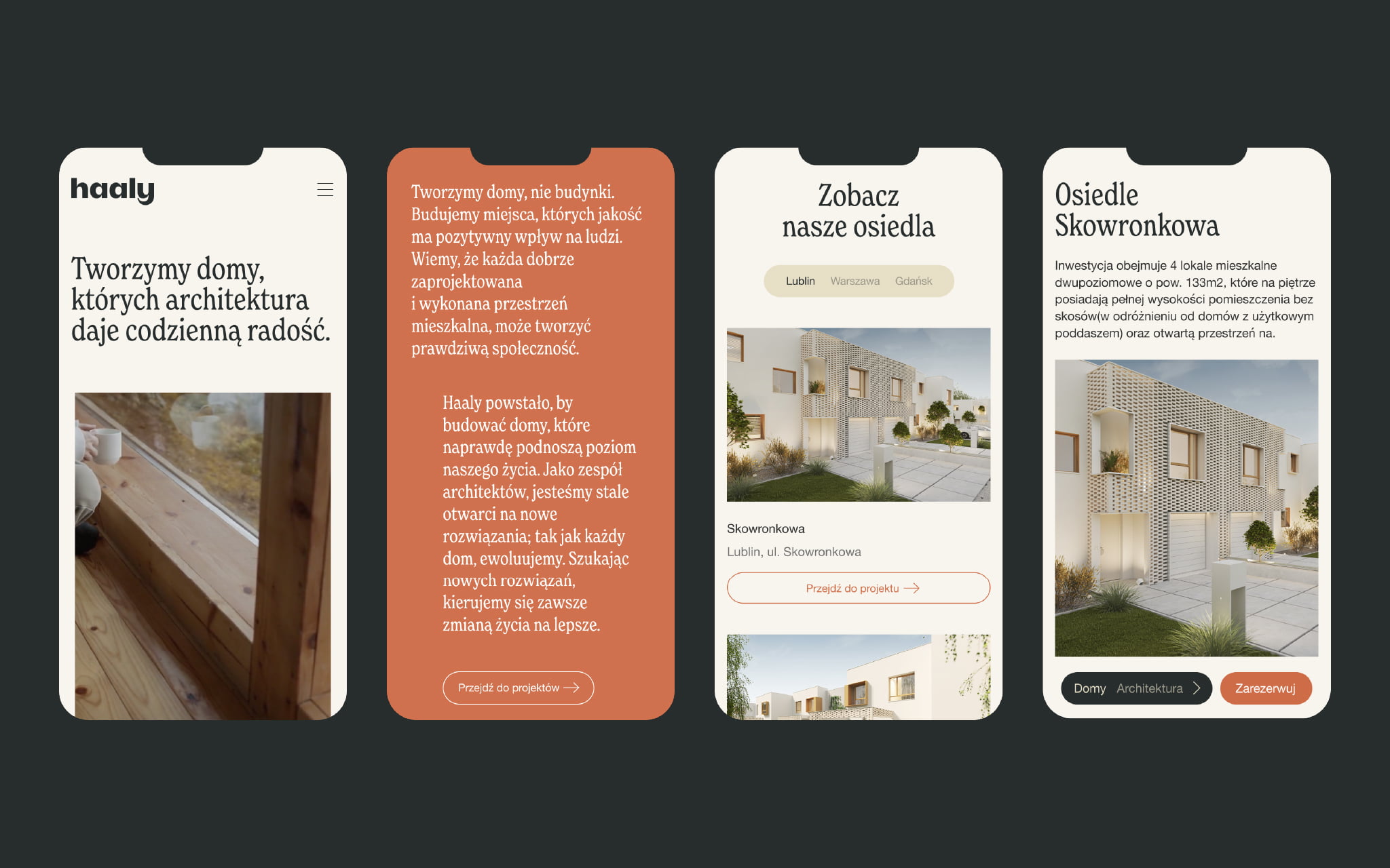 HAALY-Dmowski-Co-24-webdesign